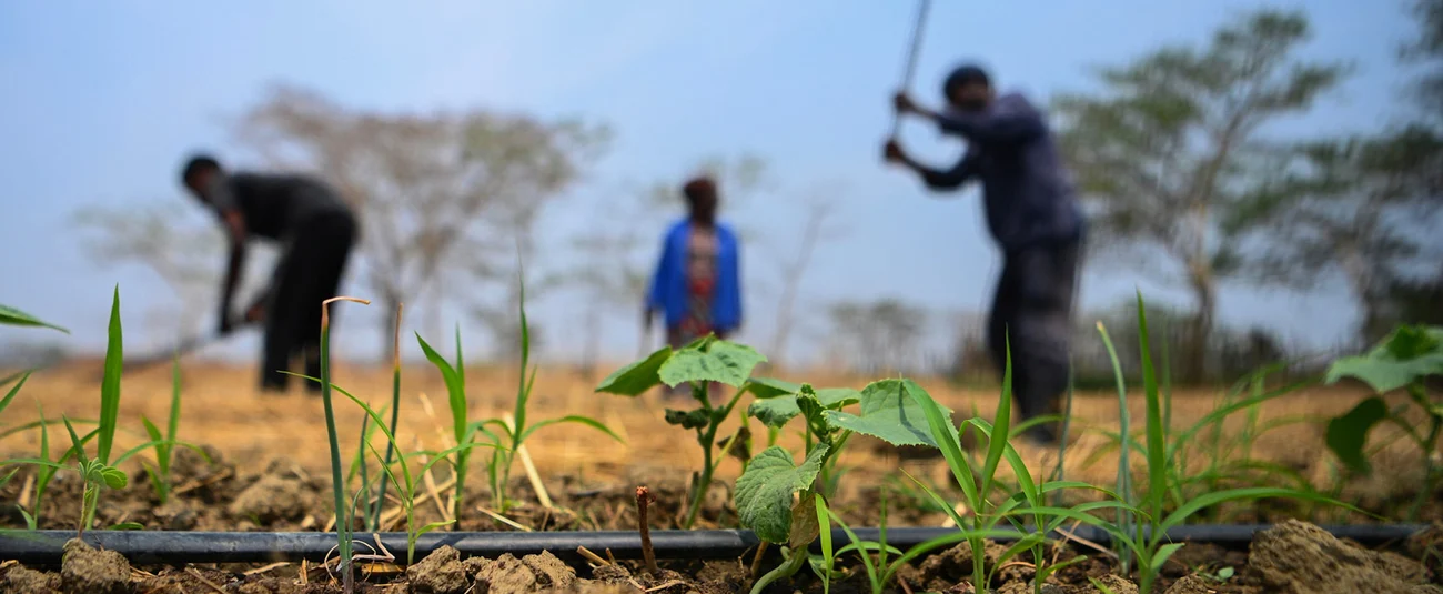 RDC : la BAD accorde plus de 48 millions de dollars pour améliorer les conditions de vie dans l'Est du pays